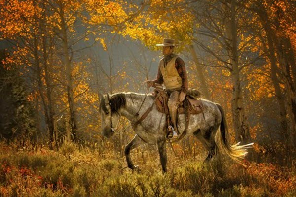 BOULDER COLORADO REAL ESTATE MARKET UPDATES, FEBRUARY 2020