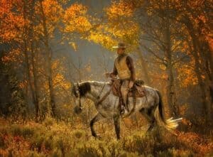Fall Splendor